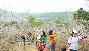 ï����������M�F(tu��n)ǰ�������^�p÷��ʢ�_