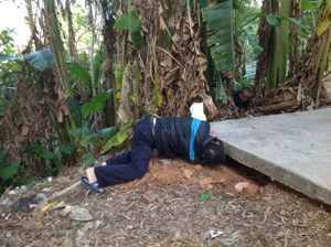 ����������^(q��)һ��������������򡱱���ץ�@