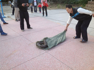 ����������^(q��)һ��������������򡱱���ץ�@