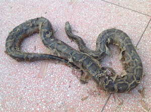 ����������^(q��)һ��������������򡱱���ץ�@