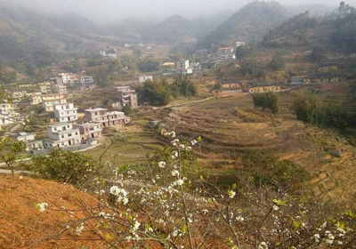 ��ɽ�(zh��n)�½���һ�l��������Ź�·