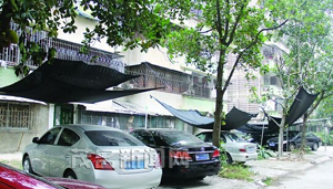 腈綸大院業(yè)主私自破壞綠化帶蓋車位 腈綸大院業(yè)主私自破壞綠化帶蓋車位